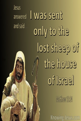 Matthew 15:24 The Lost Sheep Of The House Of Israel (gold)